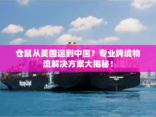 仓鼠从美国运到中国？专业跨境物流解决方案大揭秘！