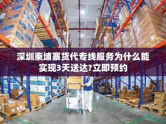 深圳柬埔寨货代专线服务为什么能实现3天送达?立即预约