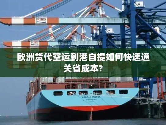 欧洲货代空运到港自提如何快速通关省成本?