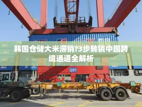 韩国仓储大米滞销?3步转销中国跨境通道全解析
