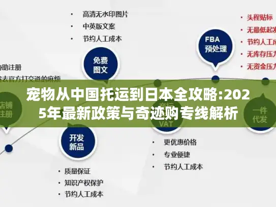 宠物从中国托运到日本全攻略:2025年最新政策与奇迹购专线解析