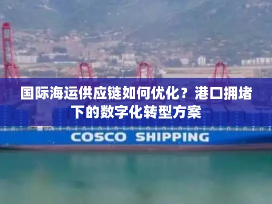 国际海运供应链如何优化？港口拥堵下的数字化转型方案