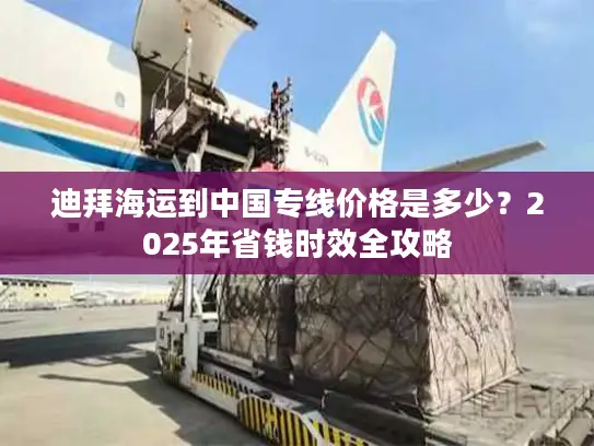 迪拜海运到中国专线价格是多少？2025年省钱时效全攻略