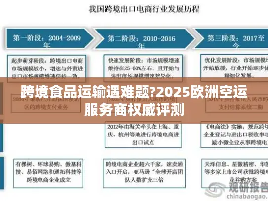 跨境食品运输遇难题?2025欧洲空运服务商权威评测
