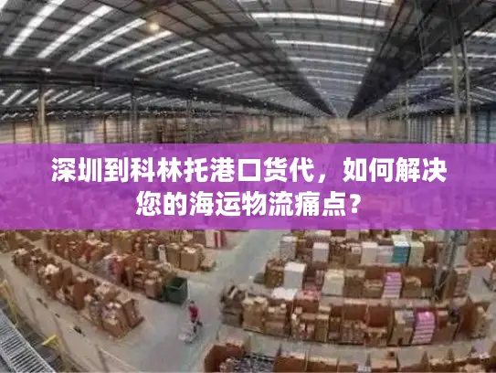 深圳到科林托港口货代，如何解决您的海运物流痛点？