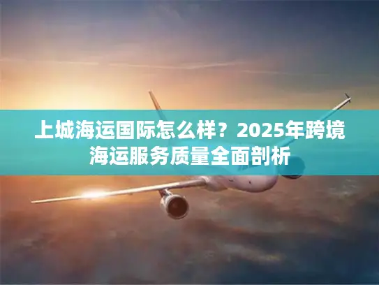 上城海运国际怎么样？2025年跨境海运服务质量全面剖析