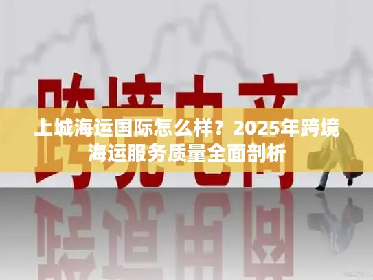 上城海运国际怎么样？2025年跨境海运服务质量全面剖析