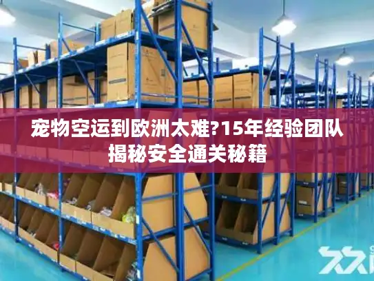 宠物空运到欧洲太难?15年经验团队揭秘安全通关秘籍