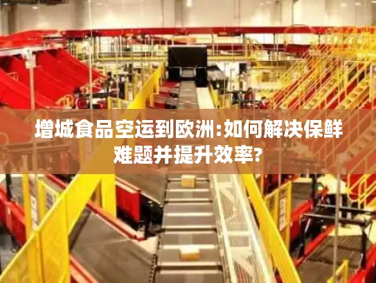 增城食品空运到欧洲:如何解决保鲜难题并提升效率?