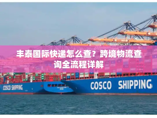 丰泰国际快递怎么查？跨境物流查询全流程详解