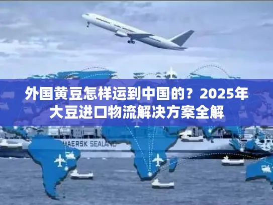 外国黄豆怎样运到中国的？2025年大豆进口物流解决方案全解