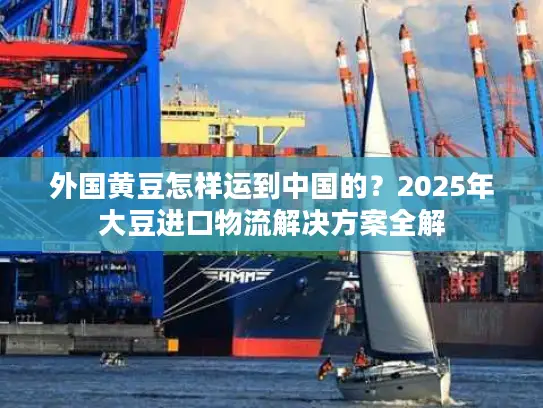 外国黄豆怎样运到中国的？2025年大豆进口物流解决方案全解