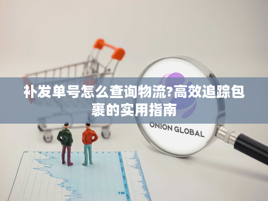 补发单号怎么查询物流?高效追踪包裹的实用指南