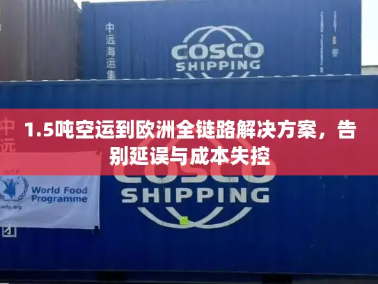 1.5吨空运到欧洲全链路解决方案，告别延误与成本失控