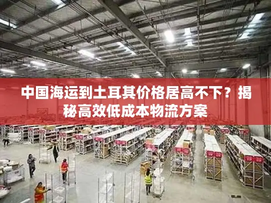 中国海运到土耳其价格居高不下？揭秘高效低成本物流方案