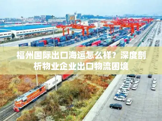 福州国际出口海运怎么样？深度剖析物业企业出口物流困境