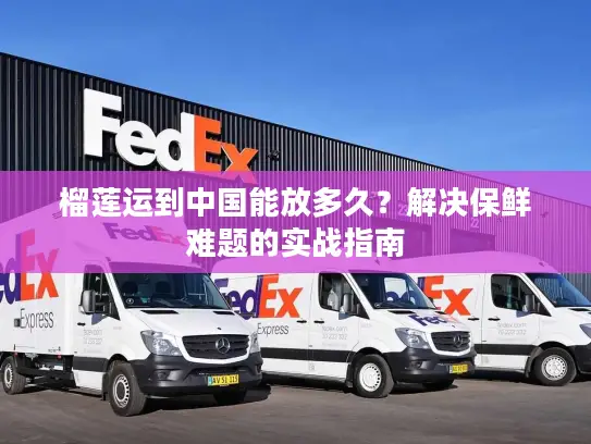 榴莲运到中国能放多久？解决保鲜难题的实战指南