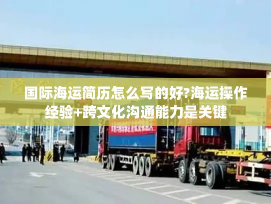 国际海运简历怎么写的好?海运操作经验+跨文化沟通能力是关键