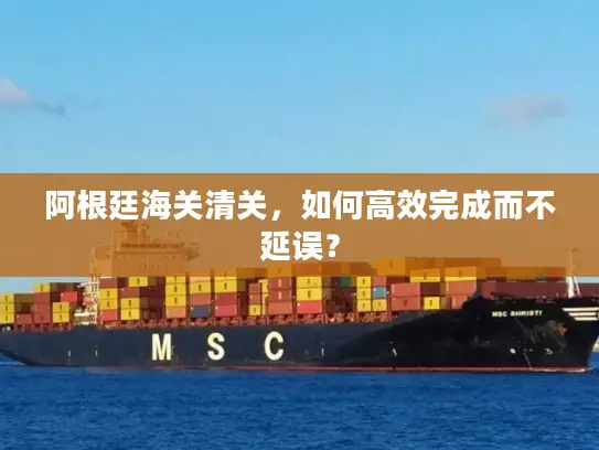 阿根廷海关清关，如何高效完成而不延误？