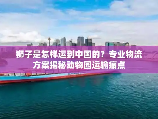 狮子是怎样运到中国的？专业物流方案揭秘动物园运输痛点