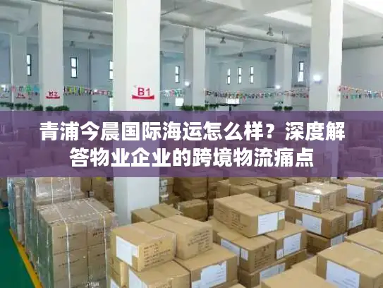 青浦今晨国际海运怎么样？深度解答物业企业的跨境物流痛点