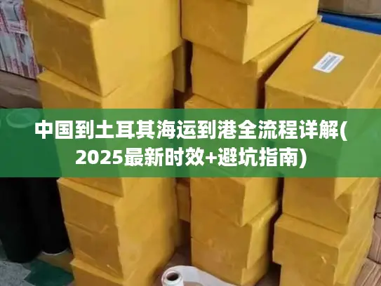 中国到土耳其海运到港全流程详解(2025最新时效+避坑指南)