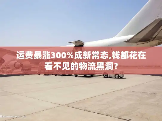 运费暴涨300%成新常态,钱都花在看不见的物流黑洞？