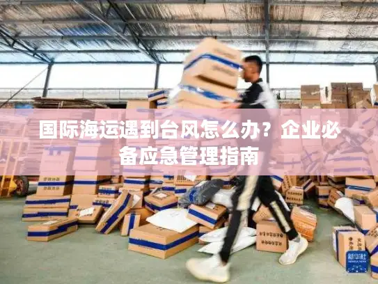 国际海运遇到台风怎么办？企业必备应急管理指南