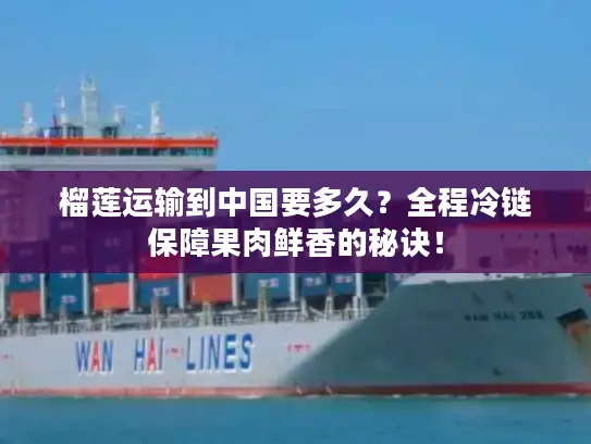 榴莲运输到中国要多久？全程冷链保障果肉鲜香的秘诀！
