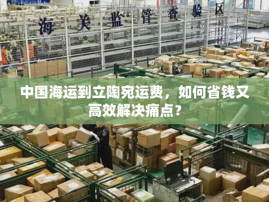 中国海运到立陶宛运费，如何省钱又高效解决痛点？