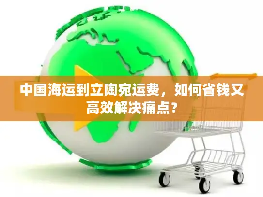 中国海运到立陶宛运费，如何省钱又高效解决痛点？