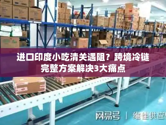 进口印度小吃清关遇阻？跨境冷链完整方案解决3大痛点