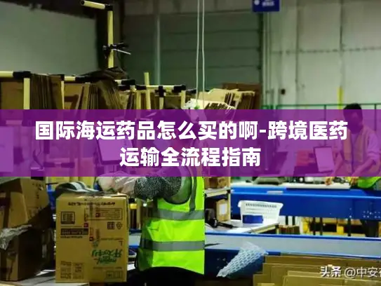 国际海运药品怎么买的啊-跨境医药运输全流程指南