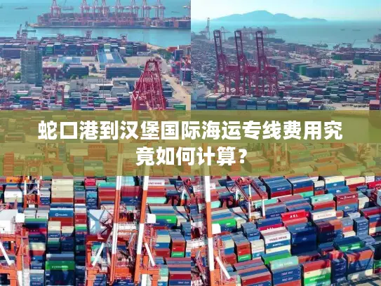 蛇口港到汉堡国际海运专线费用究竟如何计算？