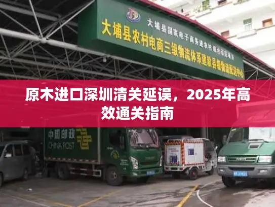 原木进口深圳清关延误，2025年高效通关指南