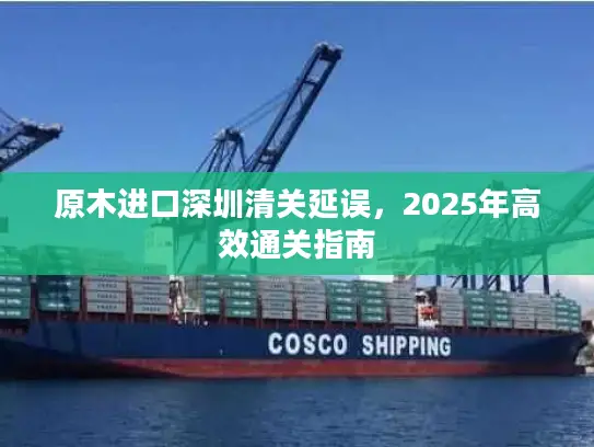原木进口深圳清关延误，2025年高效通关指南