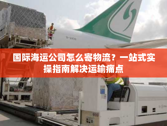 国际海运公司怎么寄物流？一站式实操指南解决运输痛点