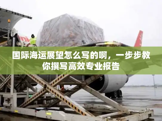 国际海运展望怎么写的啊，一步步教你撰写高效专业报告