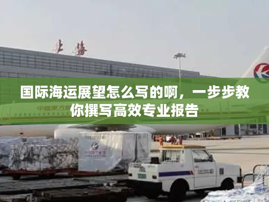 国际海运展望怎么写的啊，一步步教你撰写高效专业报告
