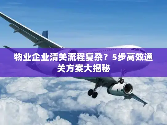 物业企业清关流程复杂？5步高效通关方案大揭秘