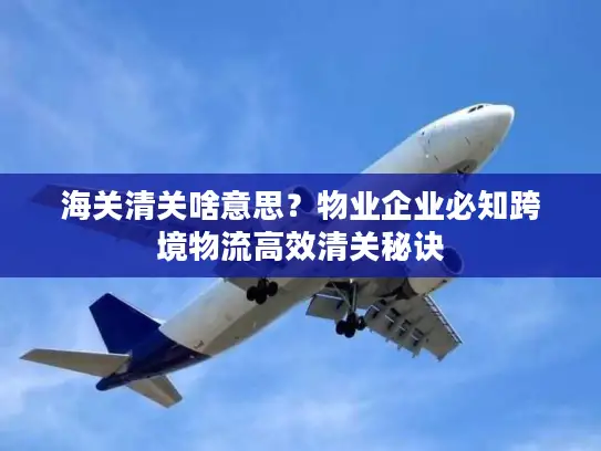 海关清关啥意思？物业企业必知跨境物流高效清关秘诀