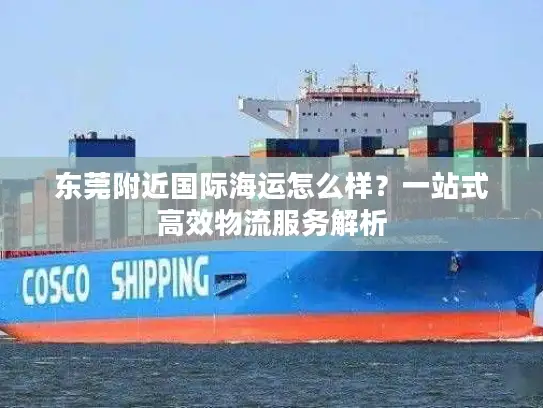 东莞附近国际海运怎么样？一站式高效物流服务解析
