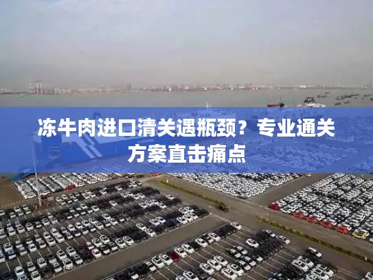 冻牛肉进口清关遇瓶颈？专业通关方案直击痛点