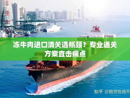 冻牛肉进口清关遇瓶颈？专业通关方案直击痛点
