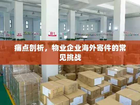 痛点剖析，物业企业海外寄件的常见挑战