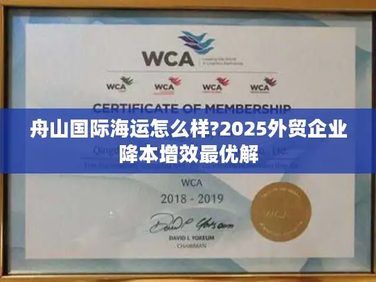 舟山国际海运怎么样?2025外贸企业降本增效最优解