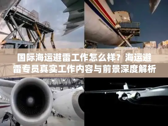 国际海运避雷工作怎么样？海运避雷专员真实工作内容与前景深度解析