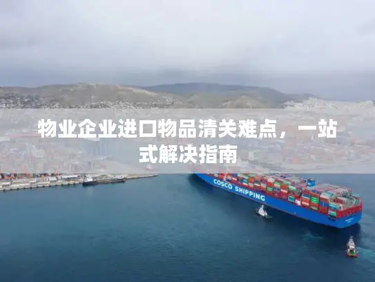 物业企业进口物品清关难点，一站式解决指南