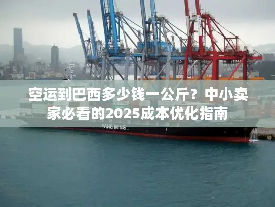 空运到巴西多少钱一公斤？中小卖家必看的2025成本优化指南