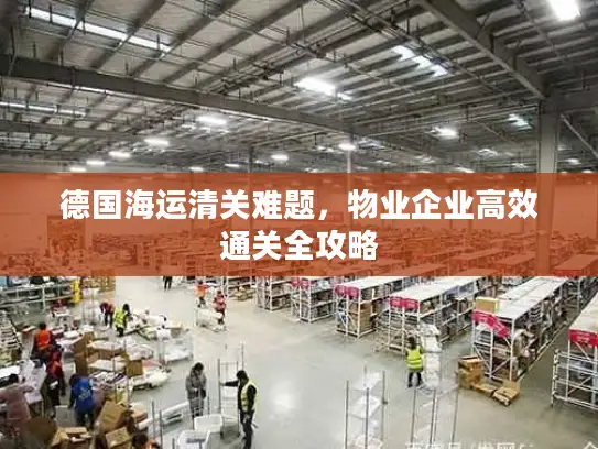 德国海运清关难题，物业企业高效通关全攻略